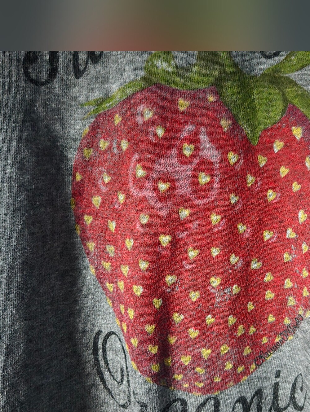 Lauren Moshi Organic Strawberry Spalding sweatshirt - Picture 11 of 13